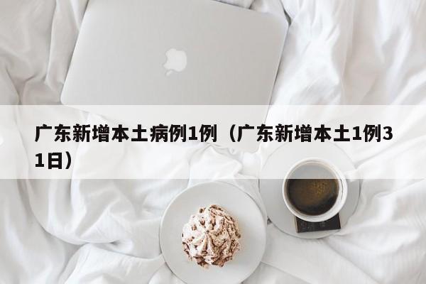 广东新增本土病例1例（广东新增本土1例31日）