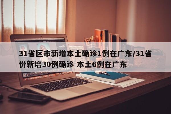 31省区市新增本土确诊1例在广东/31省份新增30例确诊 本土6例在广东