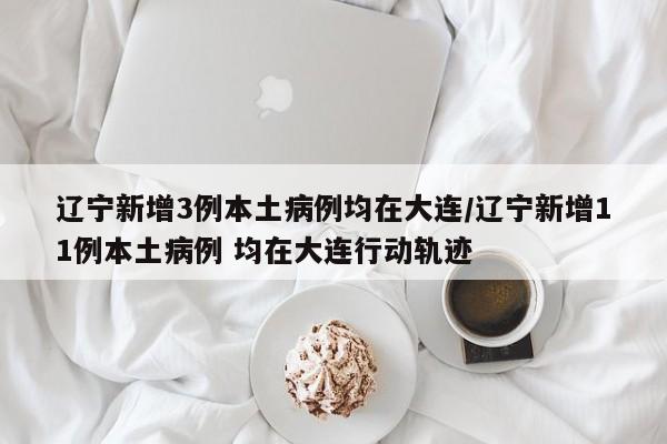辽宁新增3例本土病例均在大连/辽宁新增11例本土病例 均在大连行动轨迹