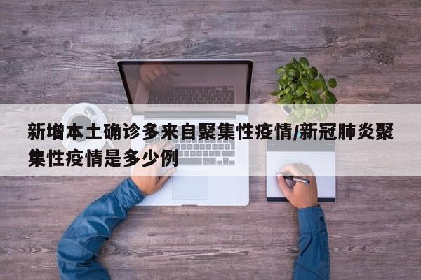 新增本土确诊多来自聚集性疫情/新冠肺炎聚集性疫情是多少例